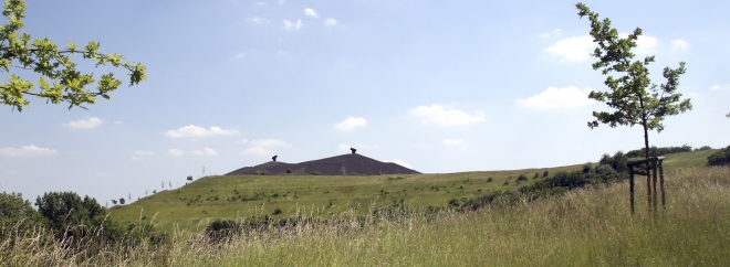 Halde Rungenberg in Gelsenkirchen (Quelle: Stadt GE)