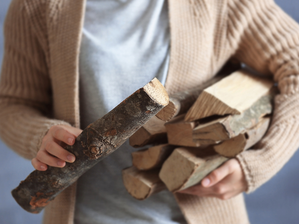 Person hält Holzscheite